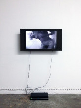Carolee Schneemann Body Collage, 1967 3:57 min, B&W, silent 16 mm film on video Courtesy of Electronic Arts Intermix